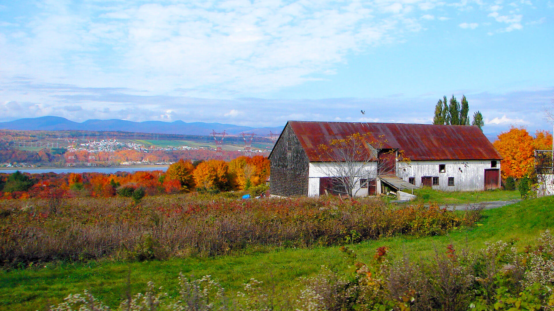 Virée à Québec en liberté