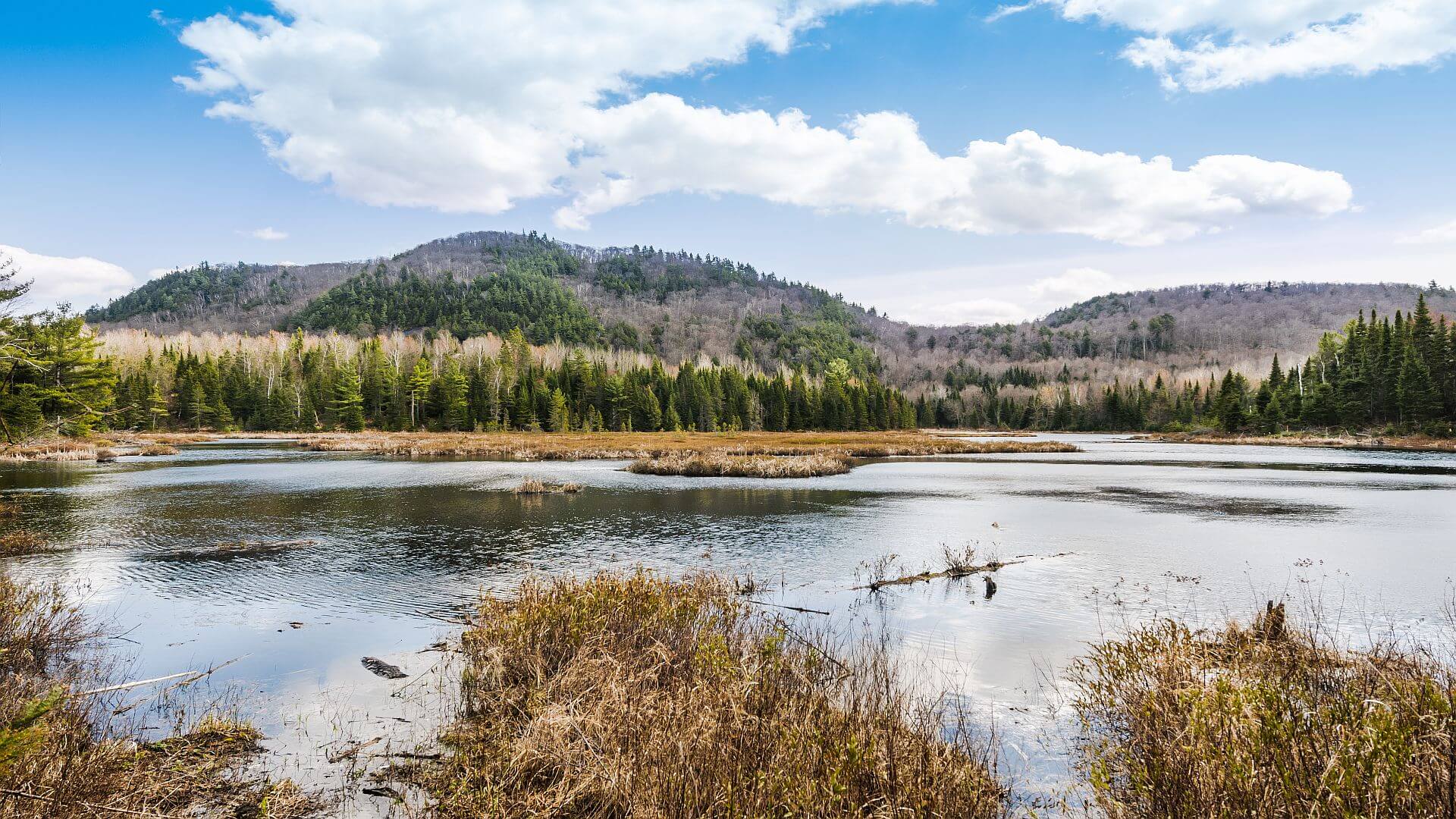 Abitibi-Témiscamingue et Baie-James