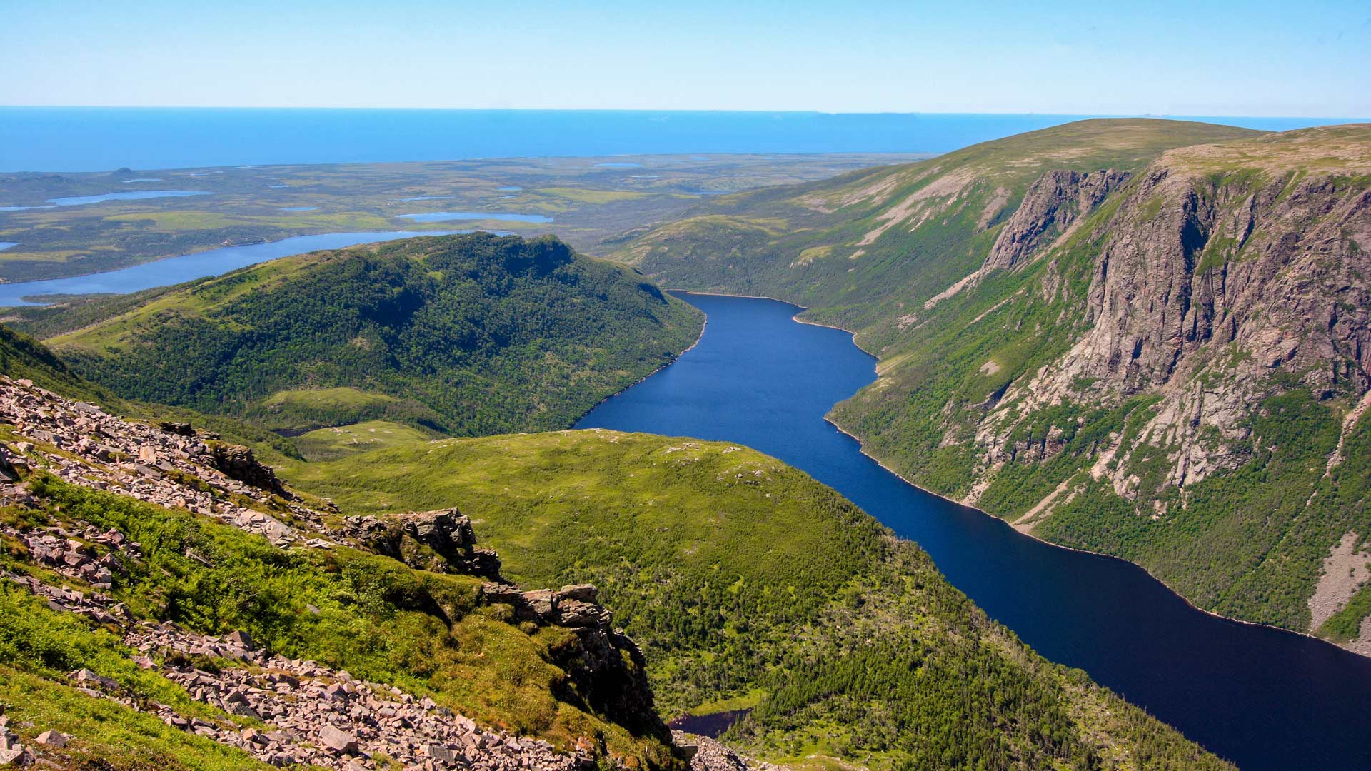 Terre-Neuve et Saint-Pierre-et-Miquelon