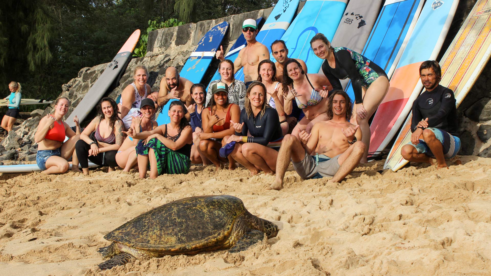 Surf et SUP à Hawaii