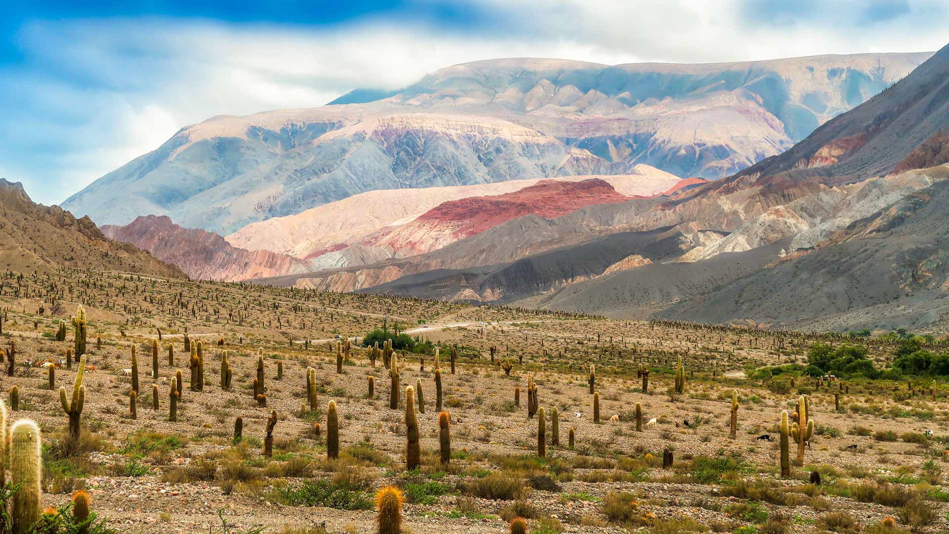 Argentine et Chili, terres des Andes