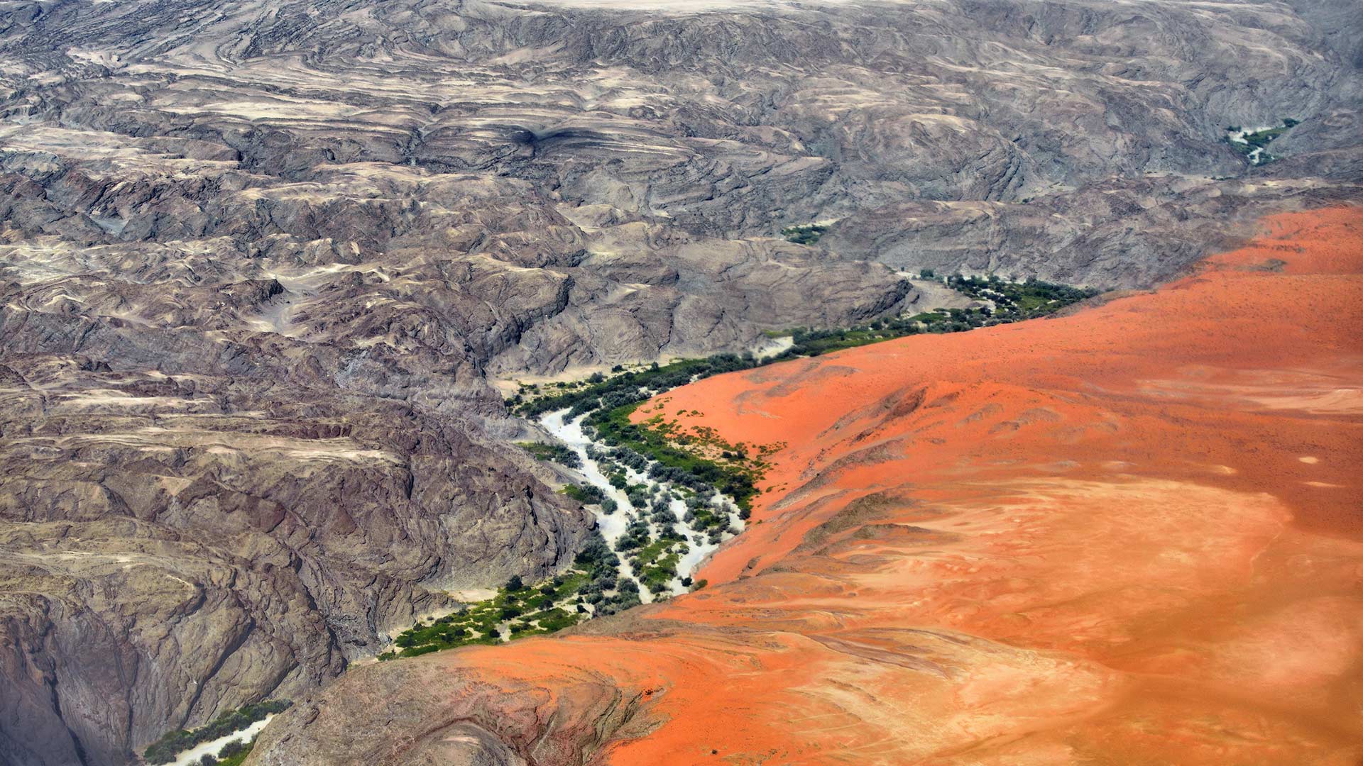 Safaris et croisière en Afrique du Sud et Namibie
