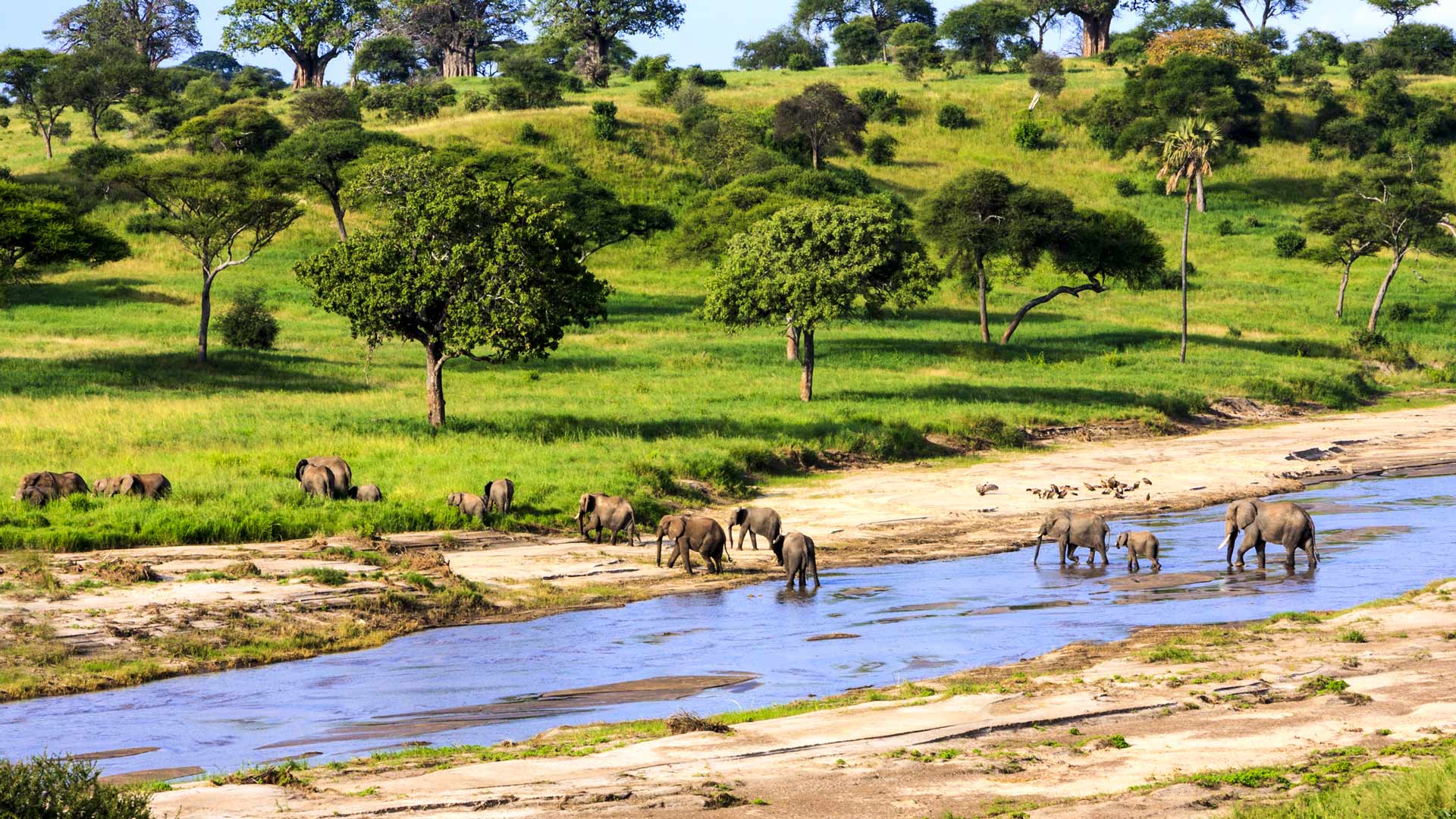 Safaris en Tanzanie et détente sur l