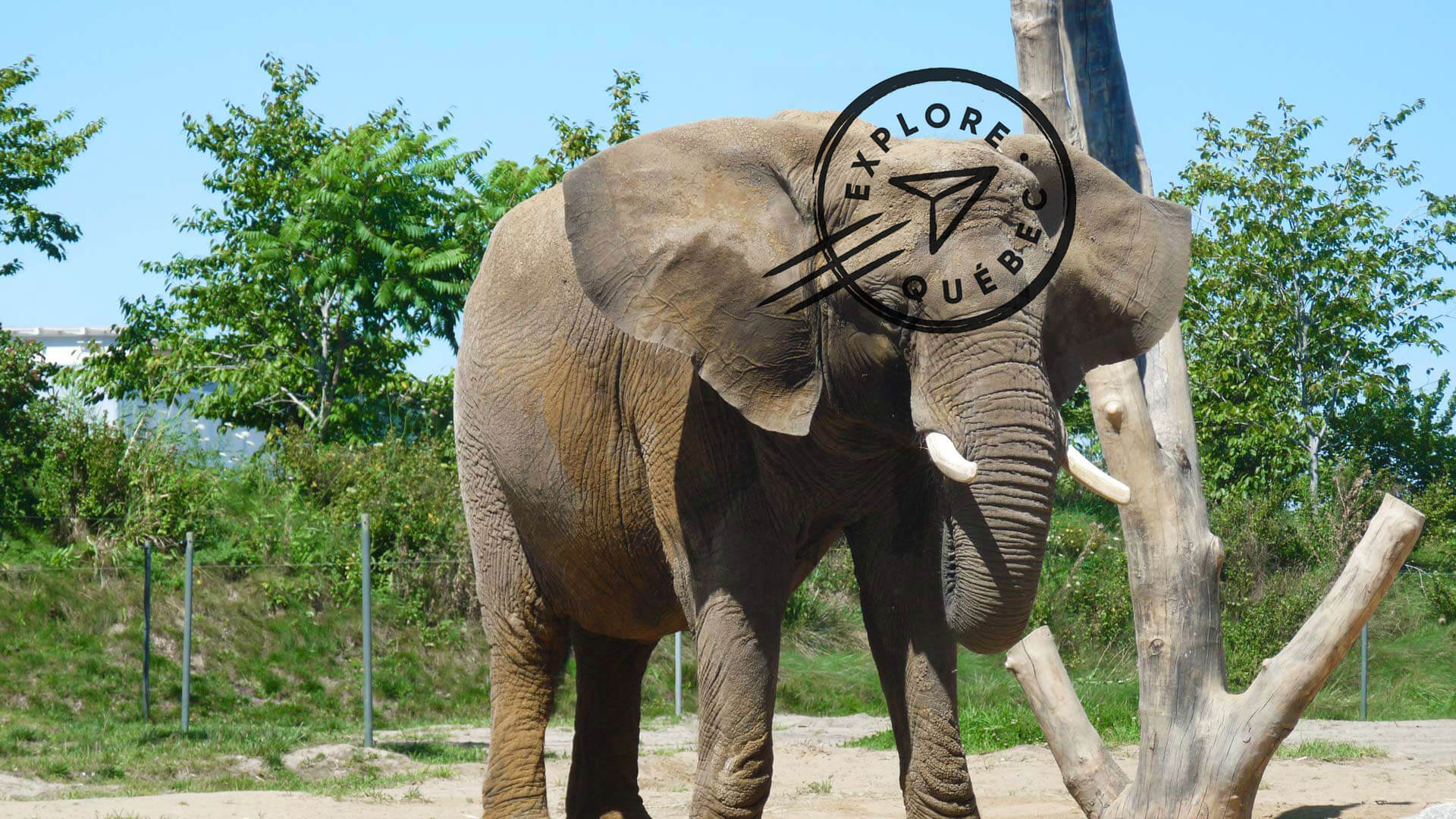 Le Zoo de Granby et les Cantons-de-l