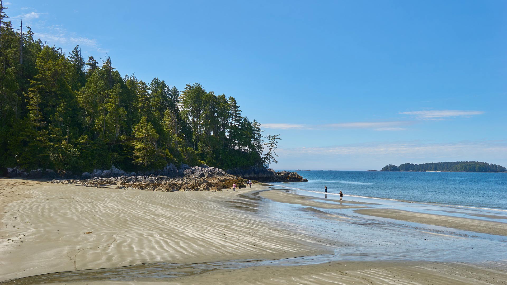 Vancouver et Tofino, séjour contraste entre montagnes et océan