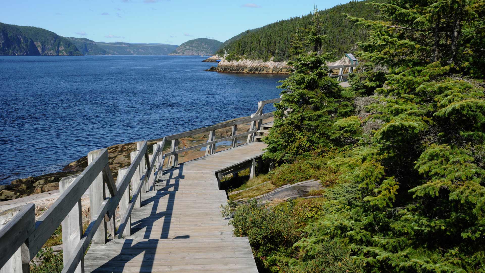 Virée de Charlevoix au Saint-Laurent, entre sommets, terroir et cétacés