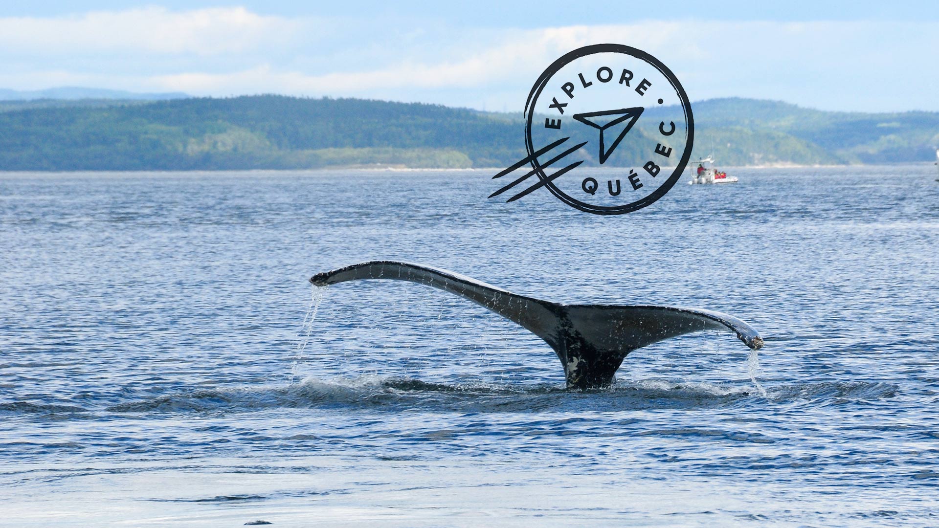 Escapade active à Tadoussac en formule Bougex