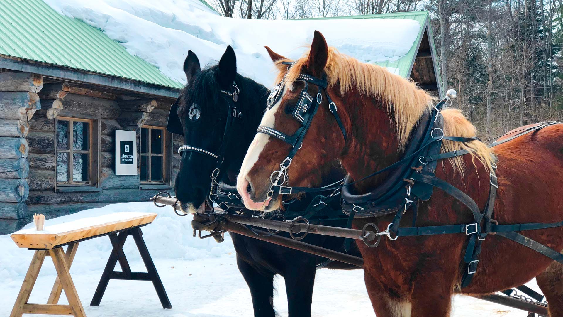 Séjour hivernal en Mauricie à l