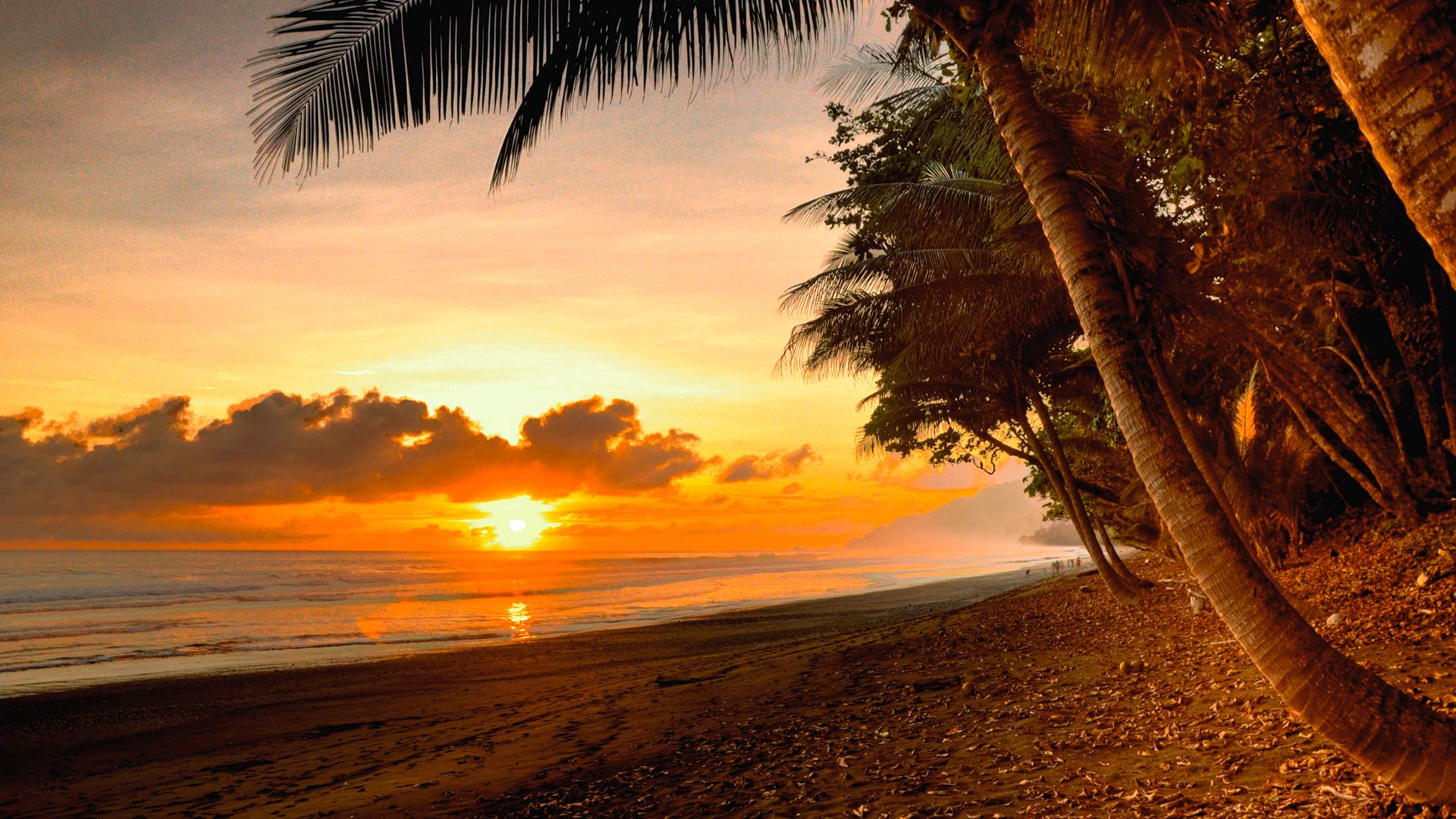 Surf et SUP au Costa Rica