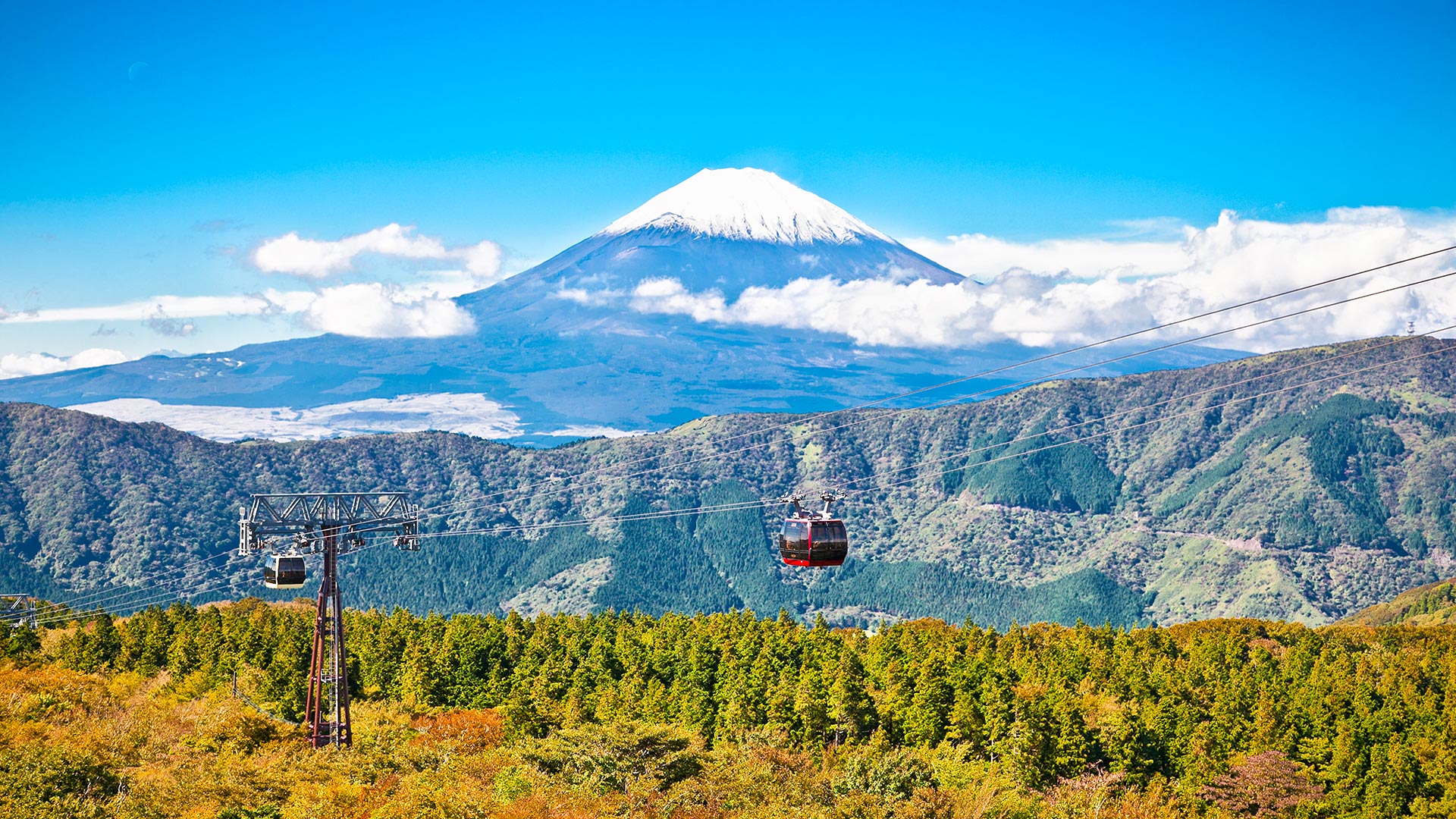 Japon