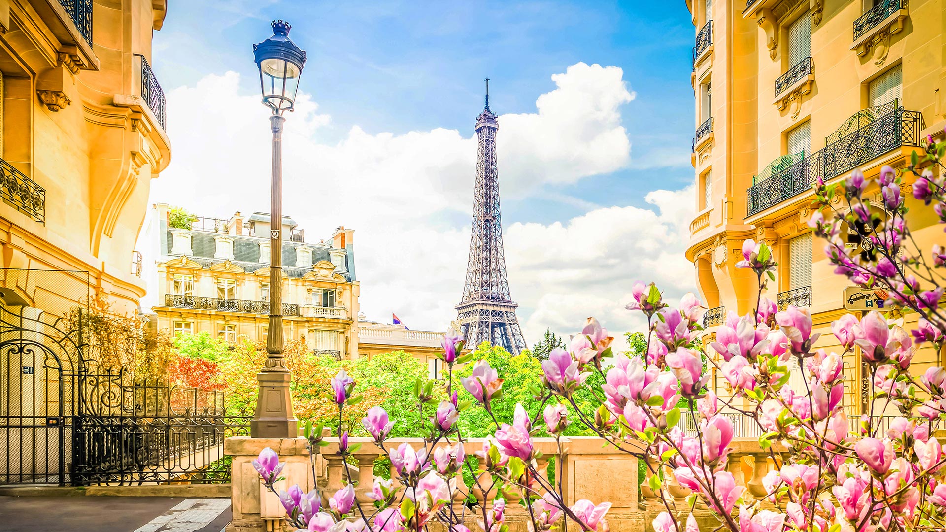 Paris mon premier amour