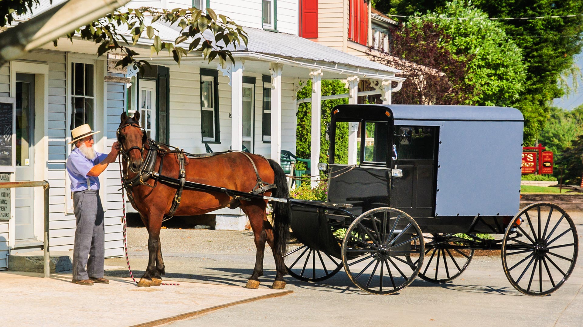 Philadelphie et le pays des Amish