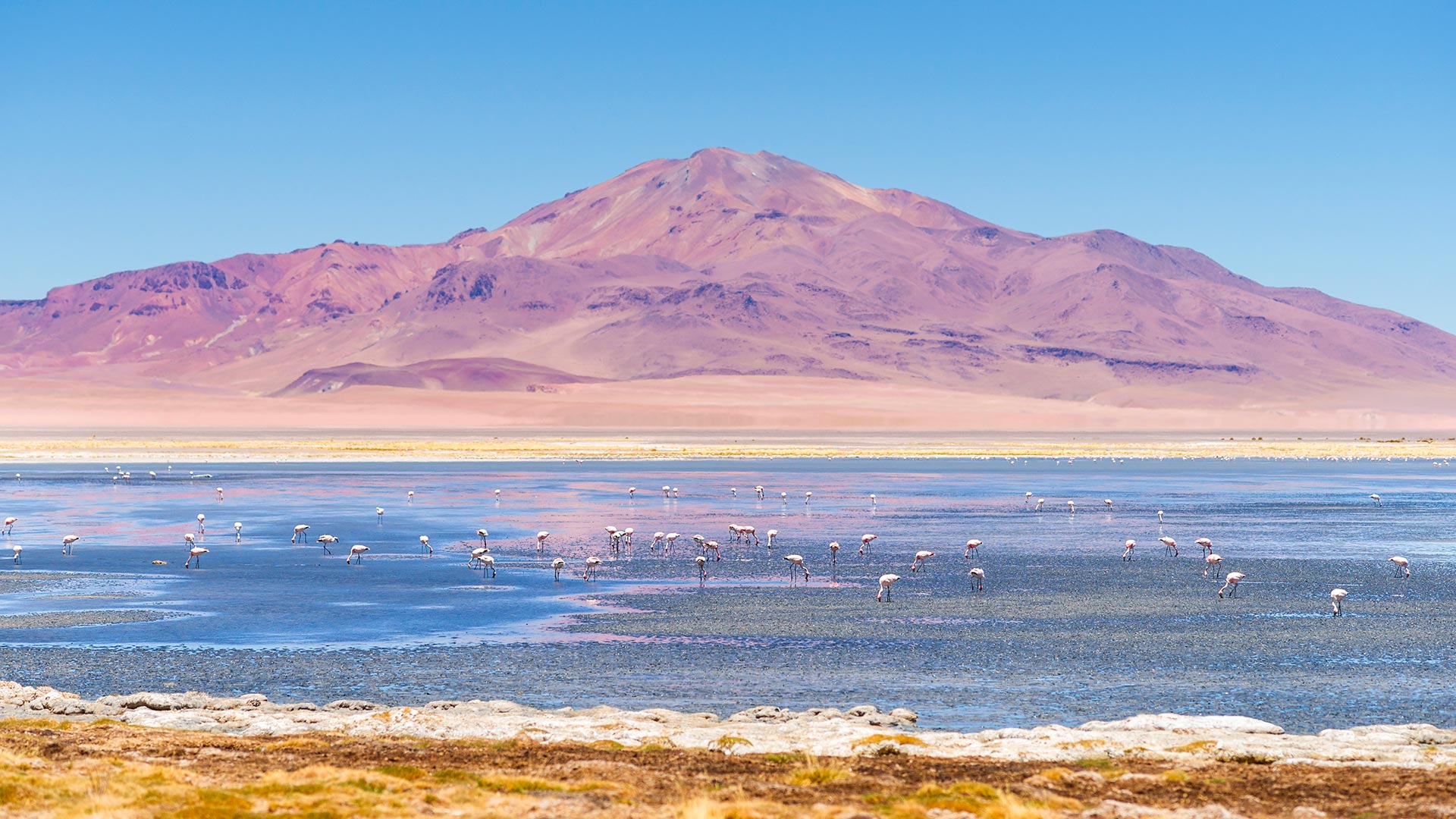 Argentine et Chili, terres des Andes