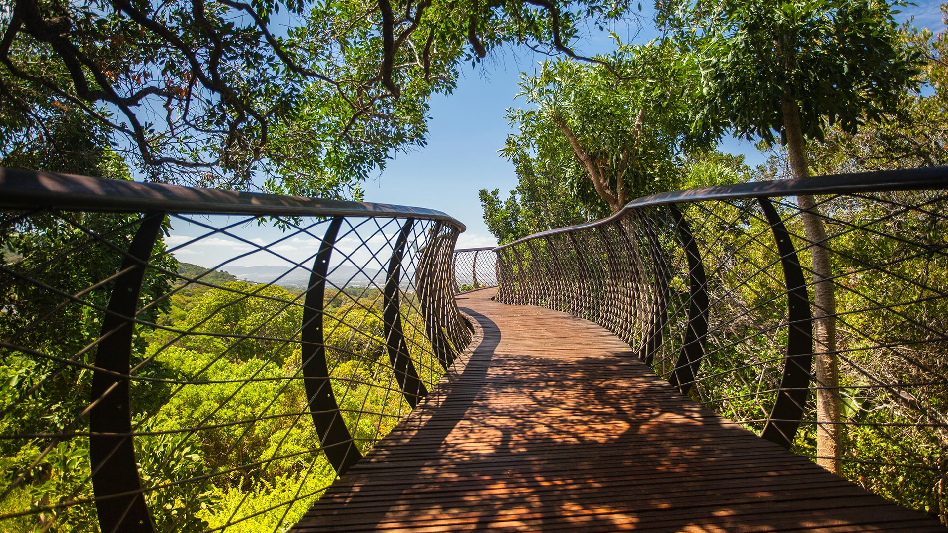 Immersion en Afrique du Sud, la nation arc-en-ciel