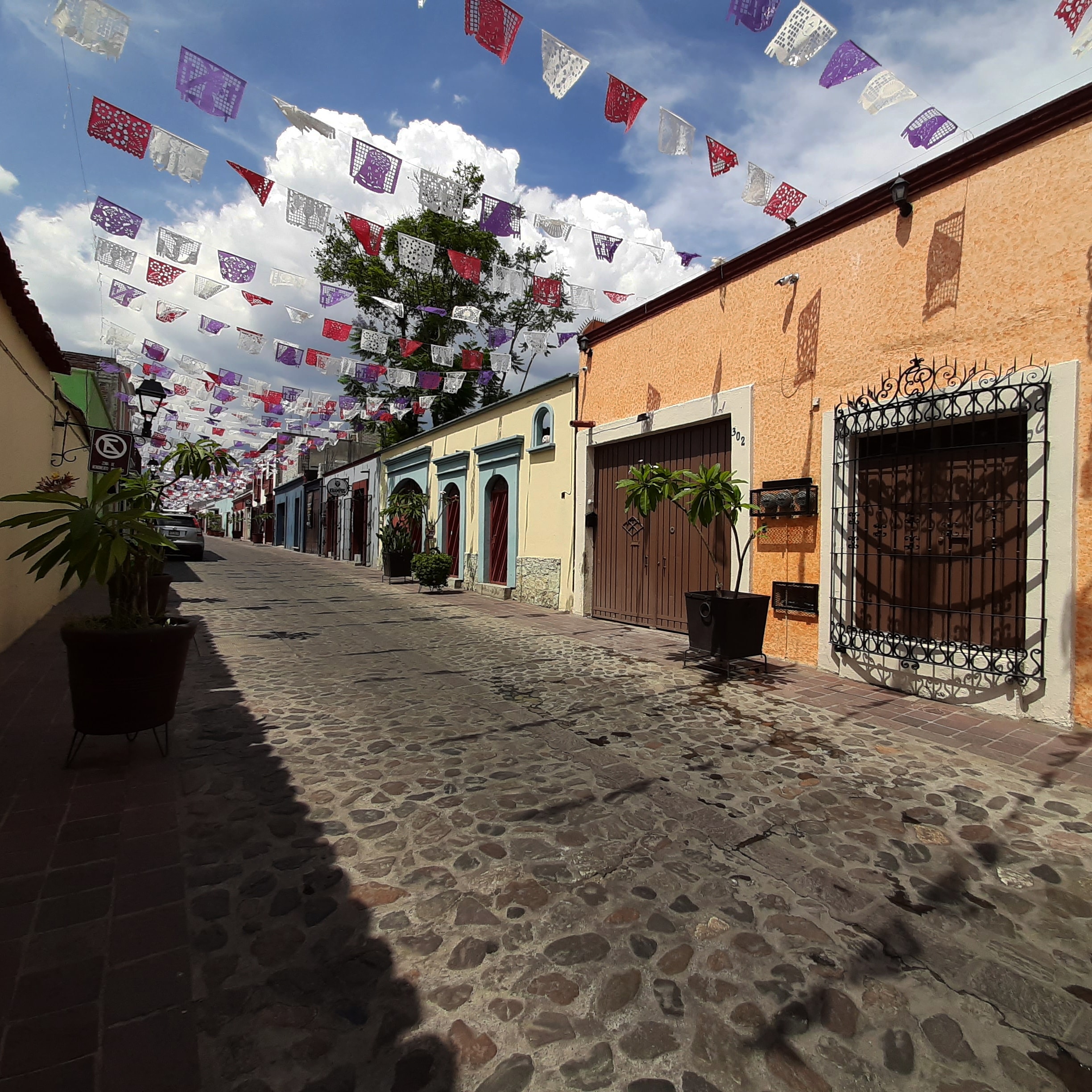 OAXACA – JOYAU COLONIAL DU MEXIQUE