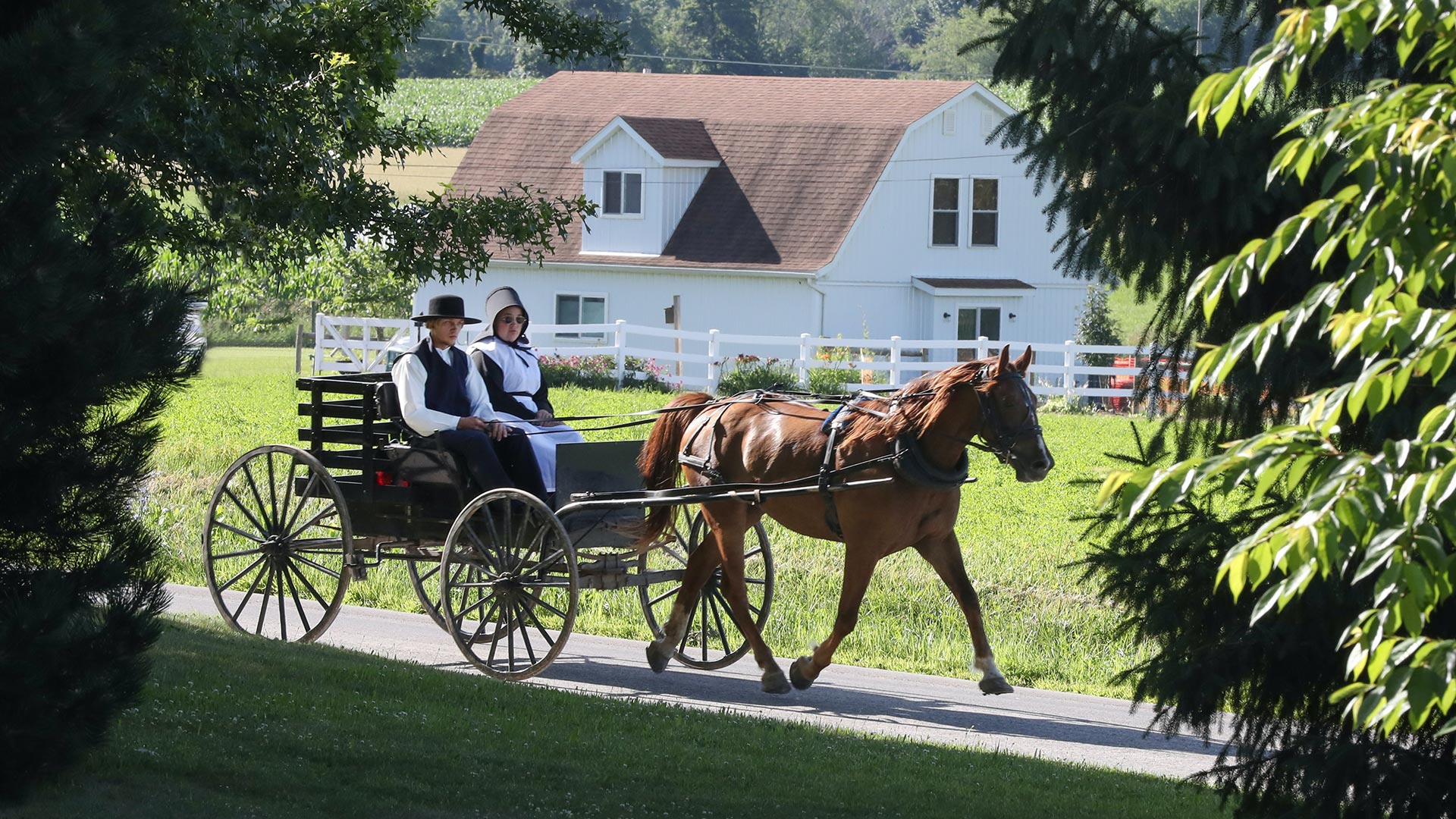 Philadelphie et le pays des Amish