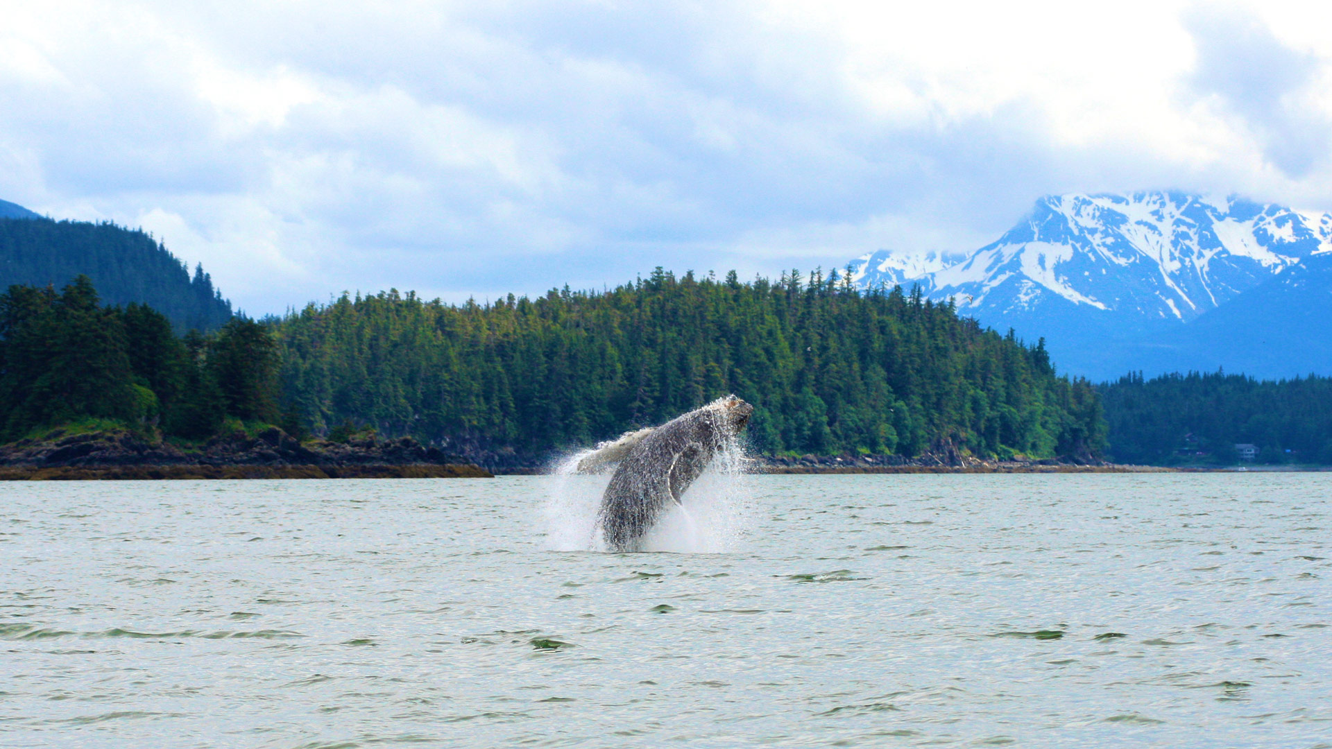 Escapade à Victoria et croisière en Alaska