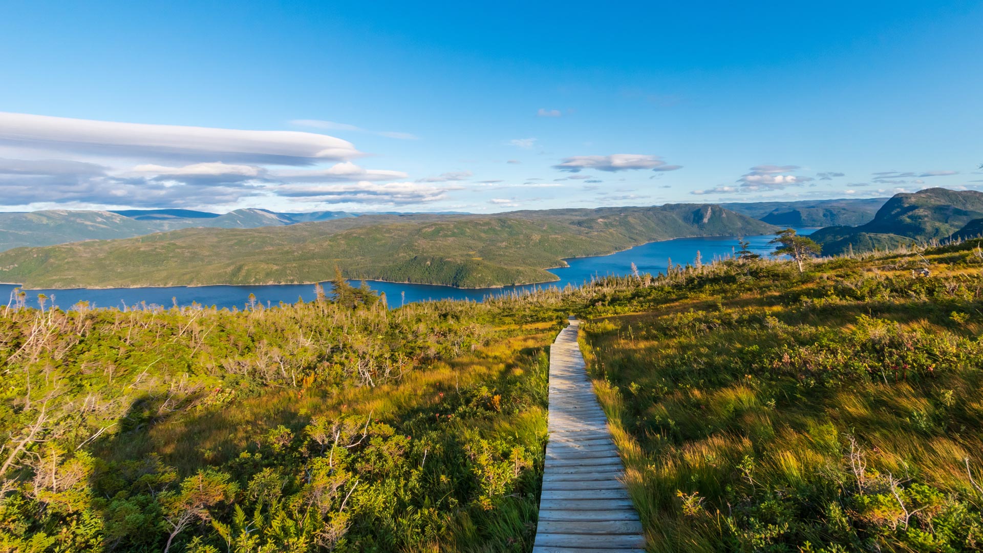 Les grands espaces de Terre-Neuve et du Labrador en avion