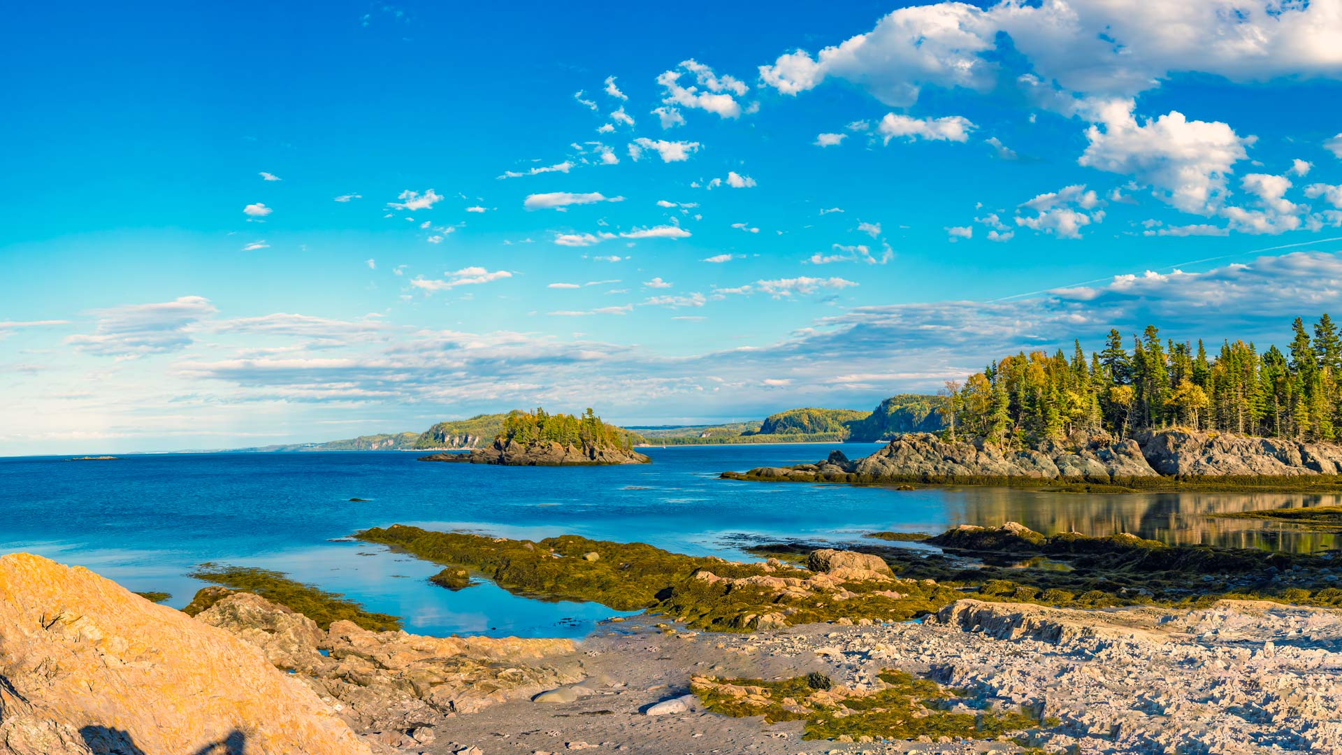 Découverte du littoral Gaspésien