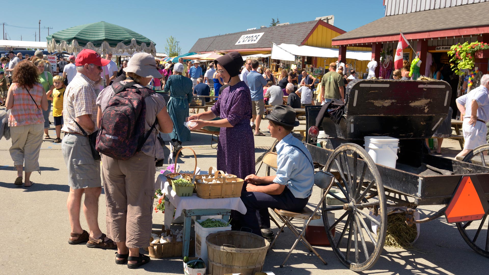 Voyage dans le Temps : À la rencontre des Mennonites de St. Jacobs