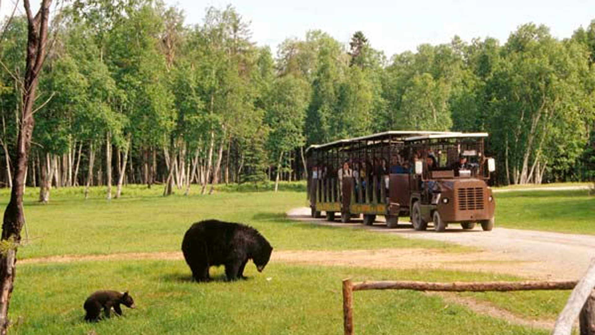 Le grand tour du Lac-Saint-Jean