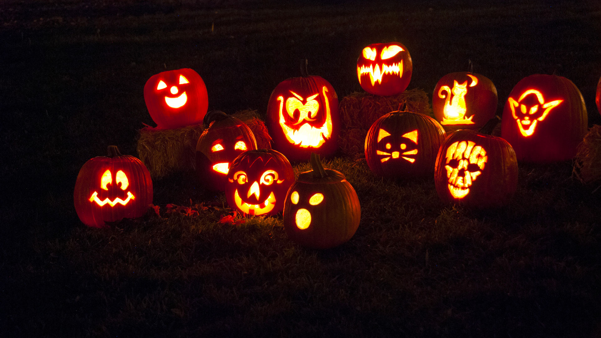 Ottawa et les citrouilles de Pumpkinferno