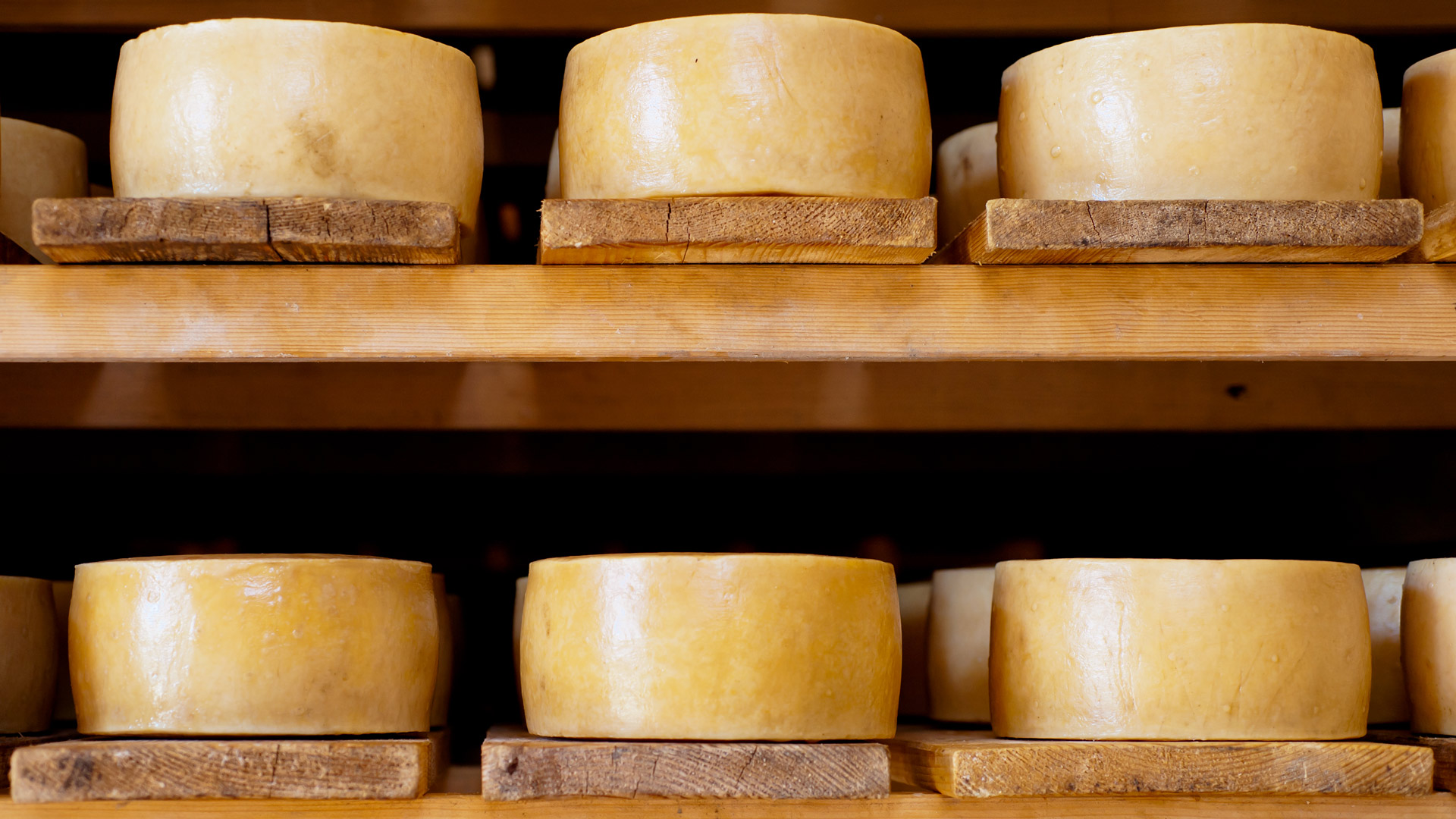 Croatie, Pays aux mille îles