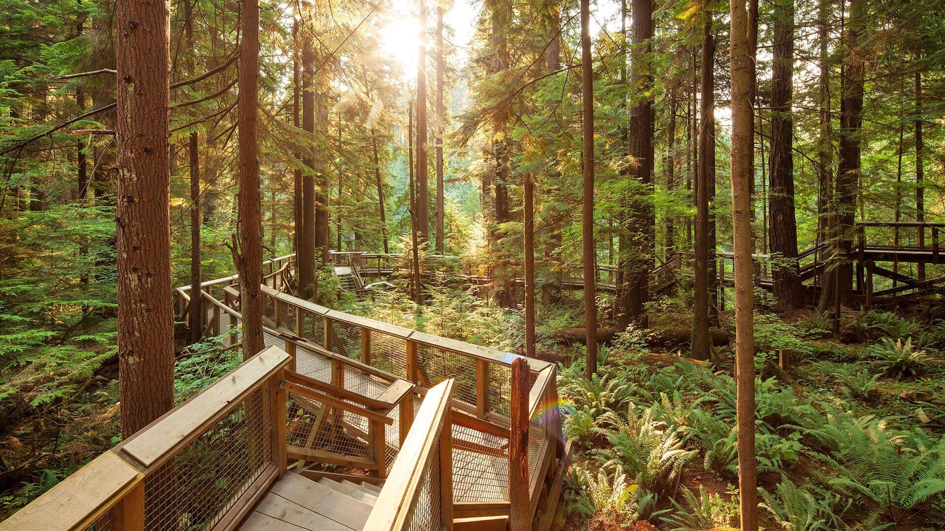 Escapade dans l’Ouest canadien - De Vancouver à Calgary