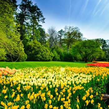 Les jardins de la Virginie
