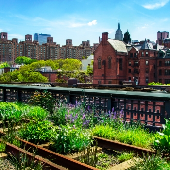 Musique et culture à New York