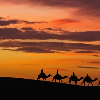 Magie du Maroc