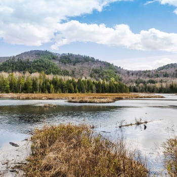 Abitibi-Témiscamingue et Baie-James