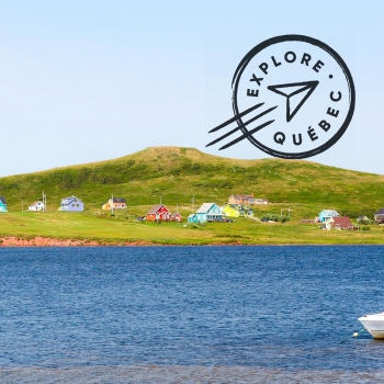 Fous des Îles de la Madeleine