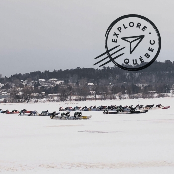 Aventure hivernale à Québec