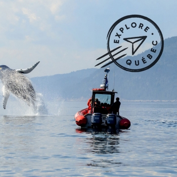 Charlevoix, Tadoussac et les baleines