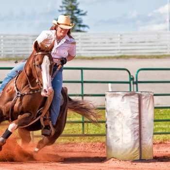 Ouest canadien : La route panoramique incluant le Stampede