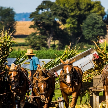 Philadelphie et le pays des Amish
